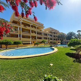 Acheter Appartement Denia