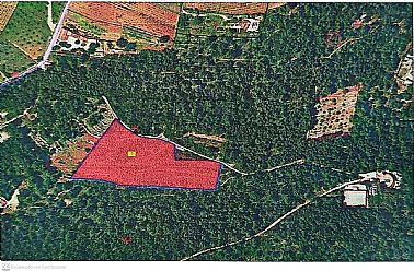 Comprar Parcela / Terreno Jalón