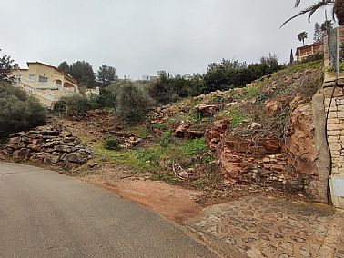 1203202618410_2.jpg