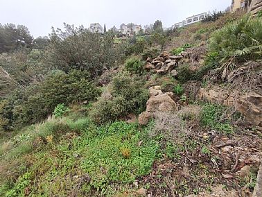 12032026184110_4.jpg