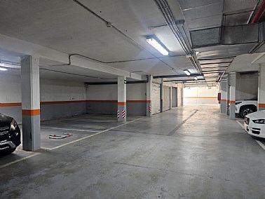 1703202619308_D518733.jpg