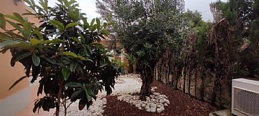 14052026122937_imagen13.jpg