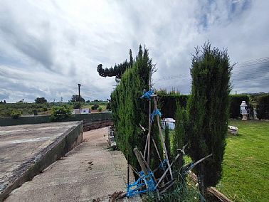 11062026113956_7.jpg
