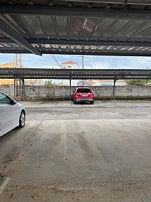 2608202619354_25.jpg